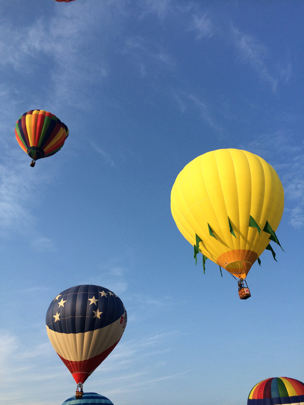 Balloons during a competitive flight